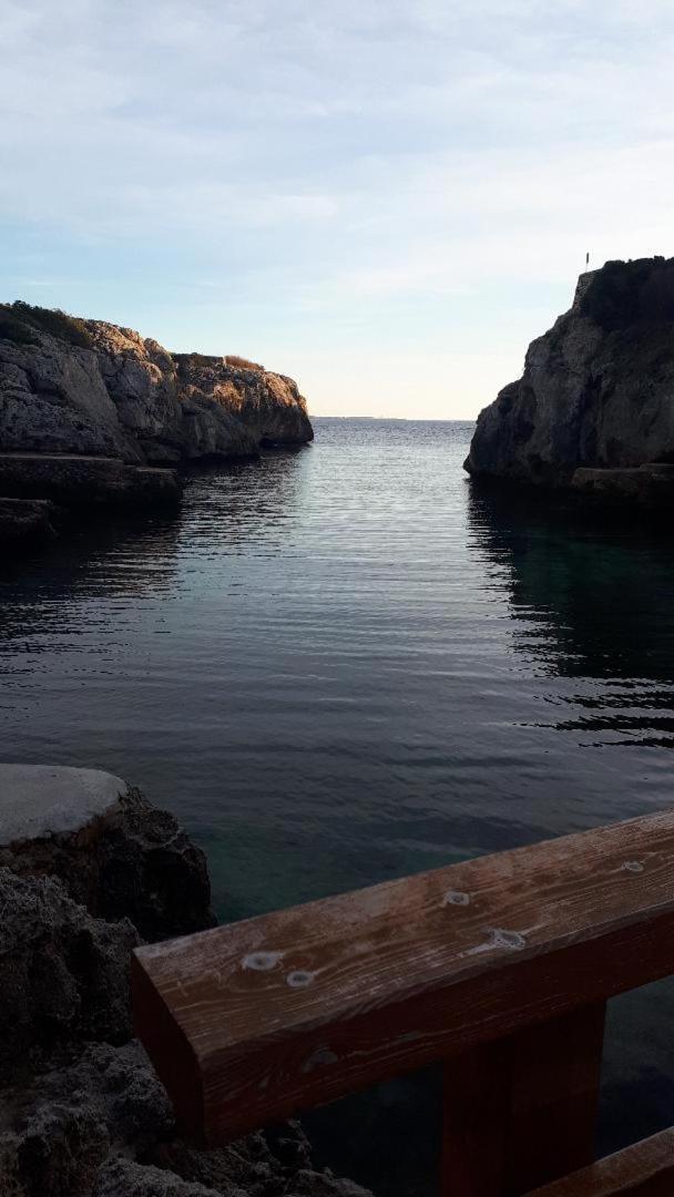 Apartamentos Ses Orenetes Cala'N Blanes  Dış mekan fotoğraf