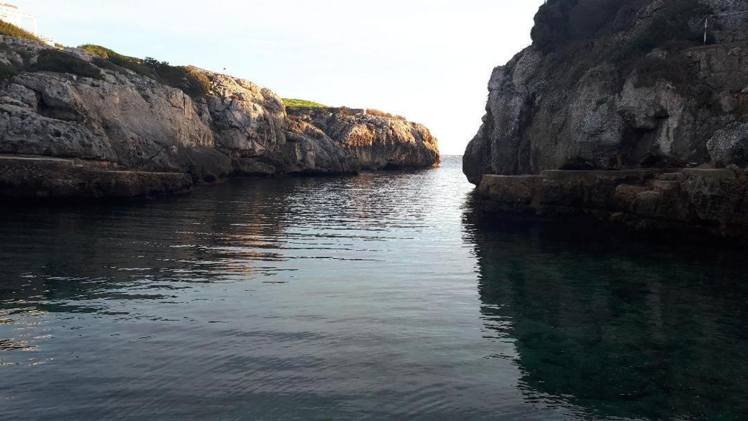 Apartamentos Ses Orenetes Cala'N Blanes  Dış mekan fotoğraf